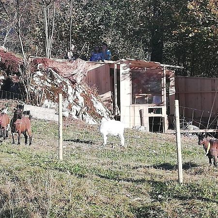 Haus Alpin Lofer Daire Dış mekan fotoğraf